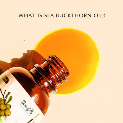 Magical Sea Buckthorn Oil – 100% Organic Cold Pressed Elixir for Clear, Radiant Skin